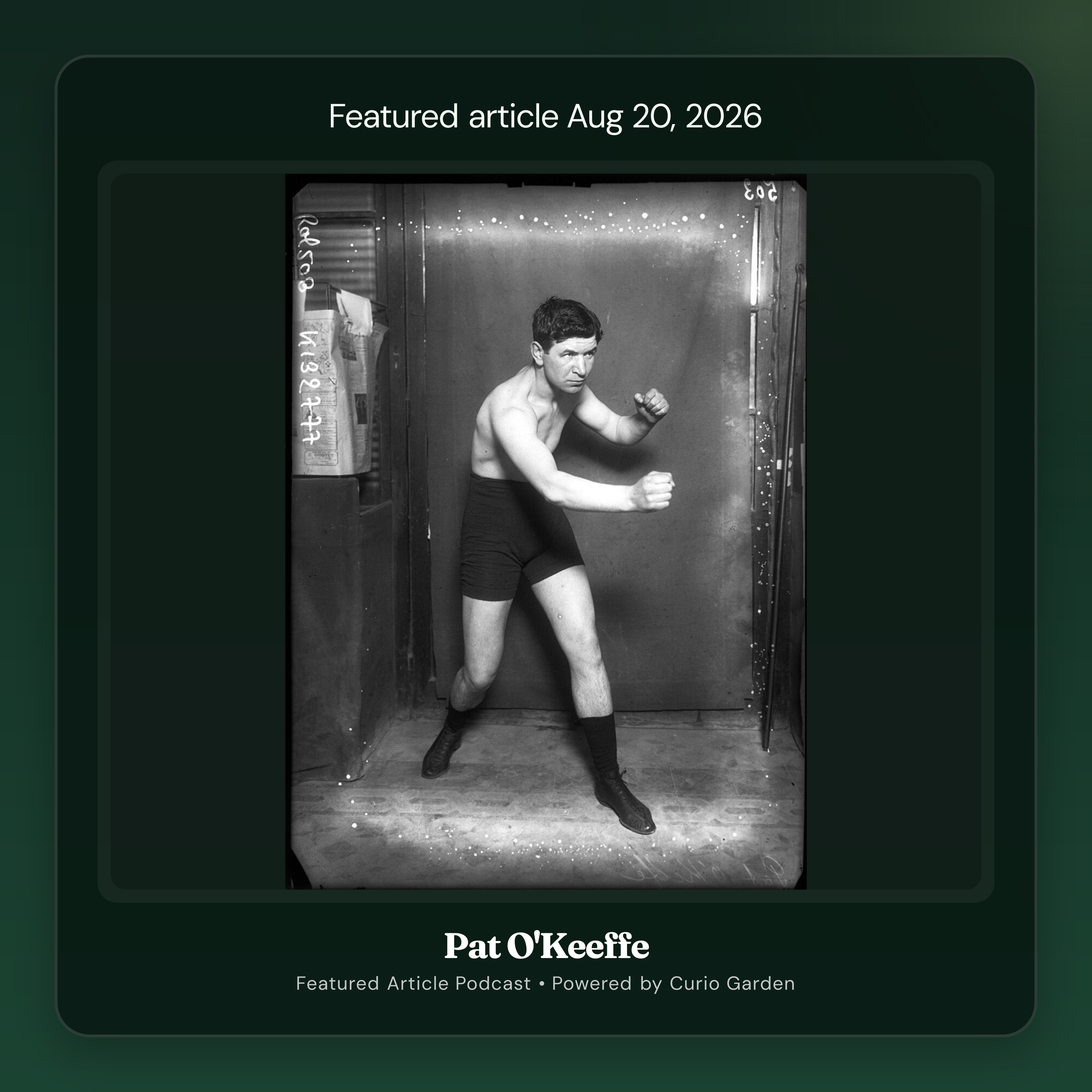 Artwork for Pat O'Keeffe