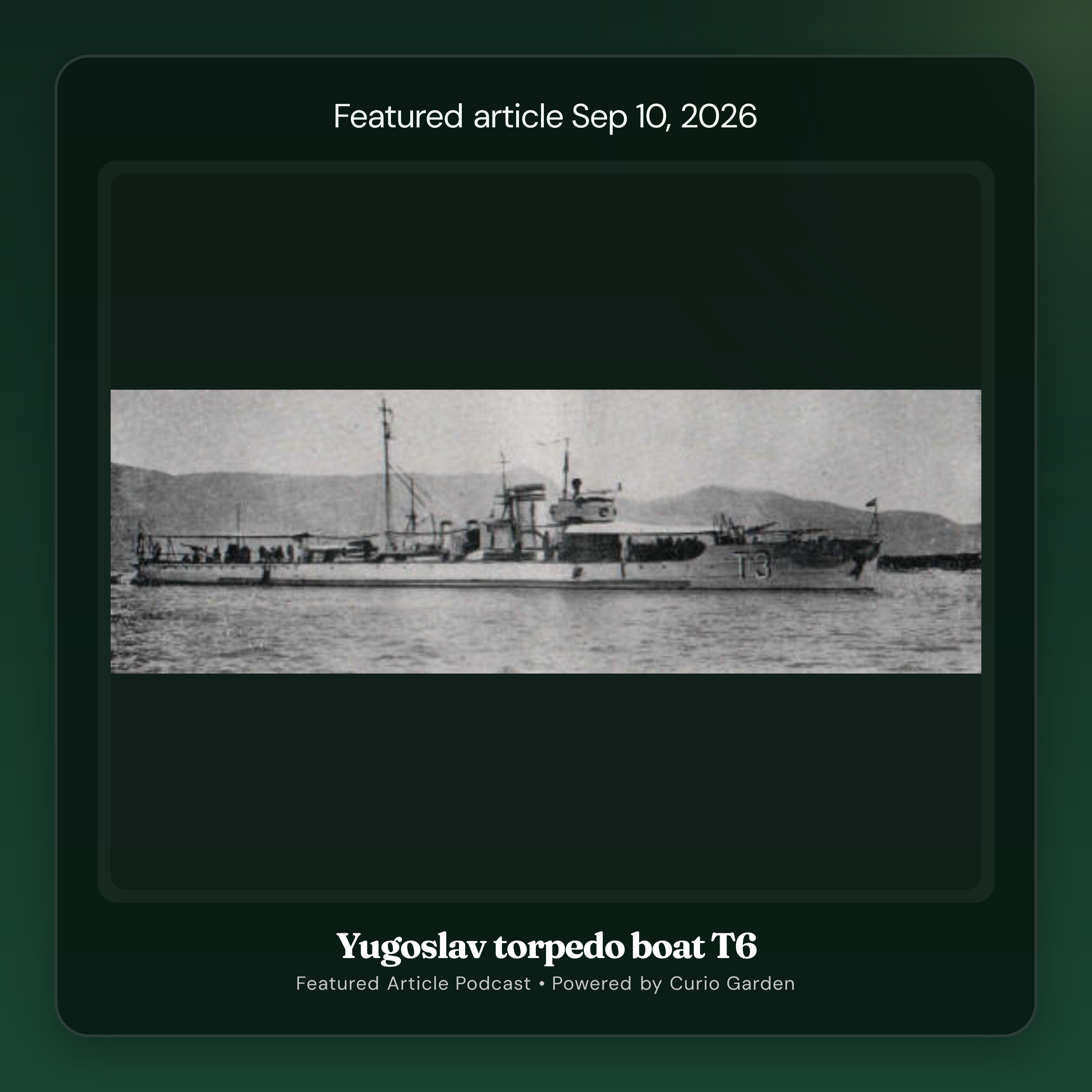 Artwork for Yugoslav torpedo boat T6