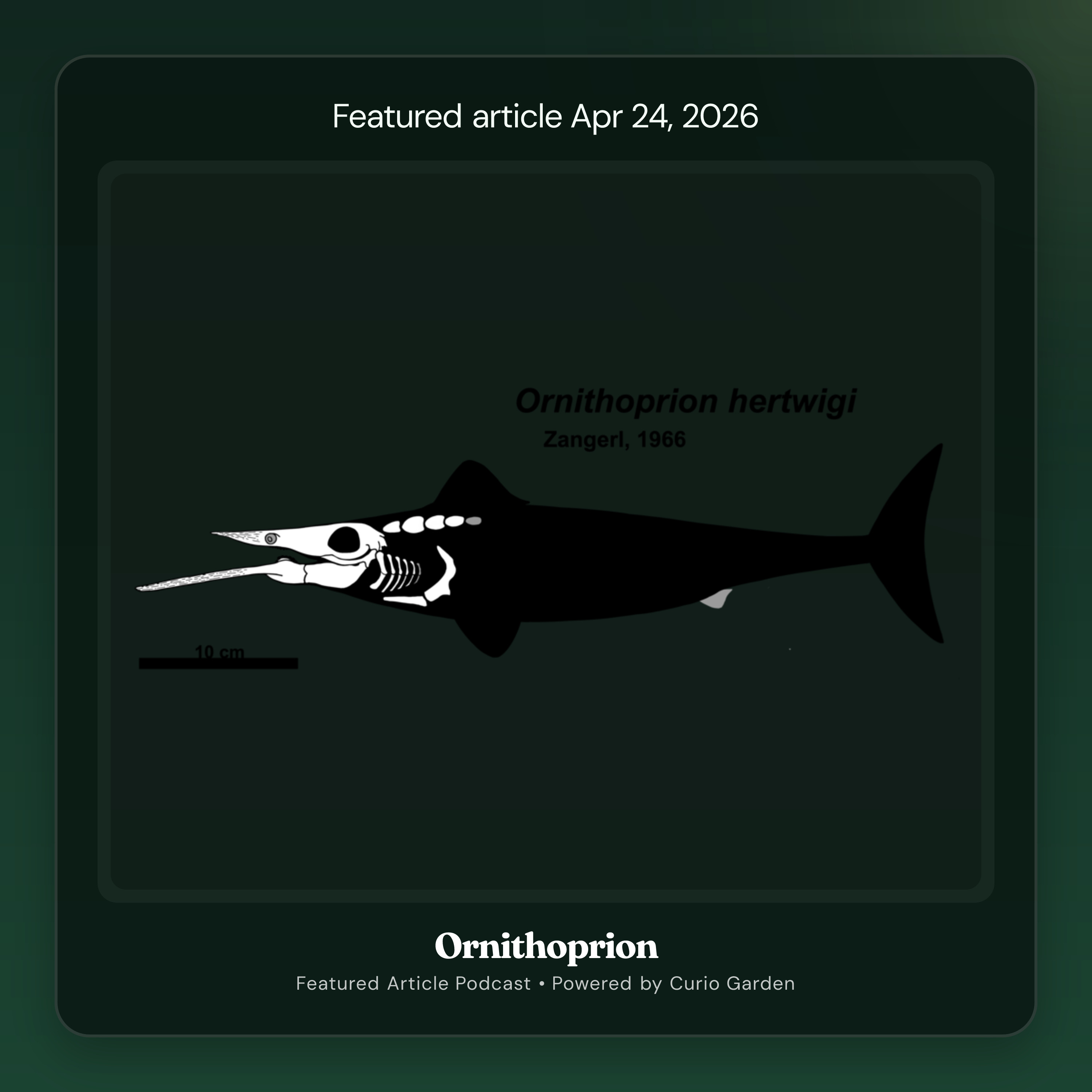 Artwork for Ornithoprion