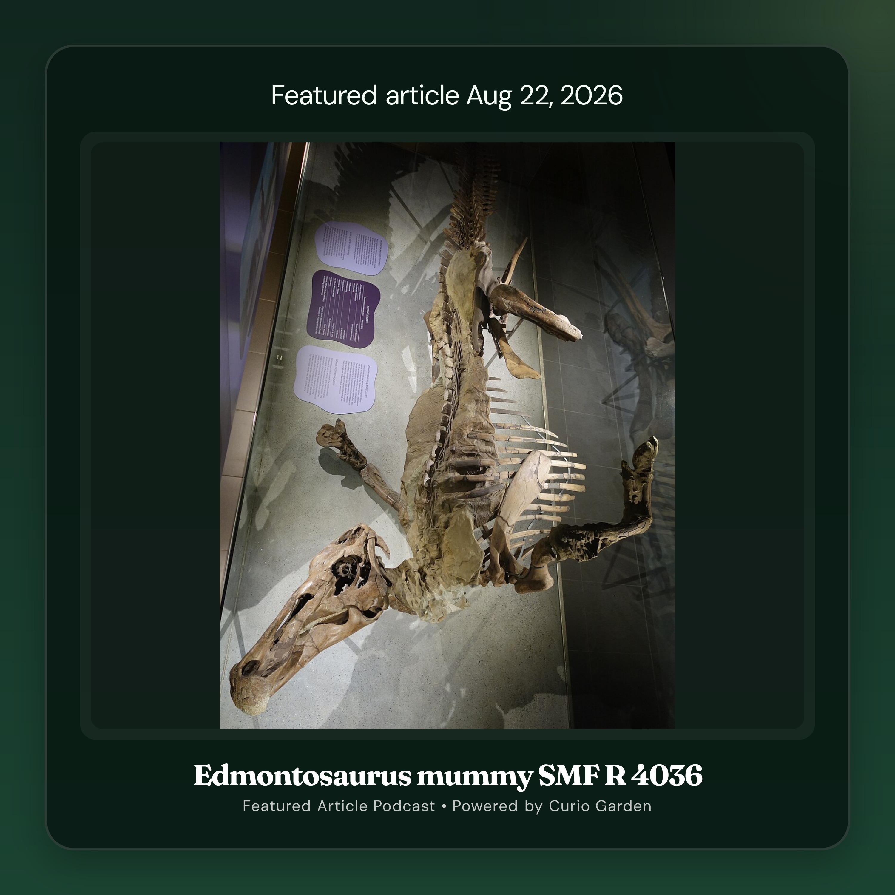 Artwork for Edmontosaurus mummy SMF R 4036