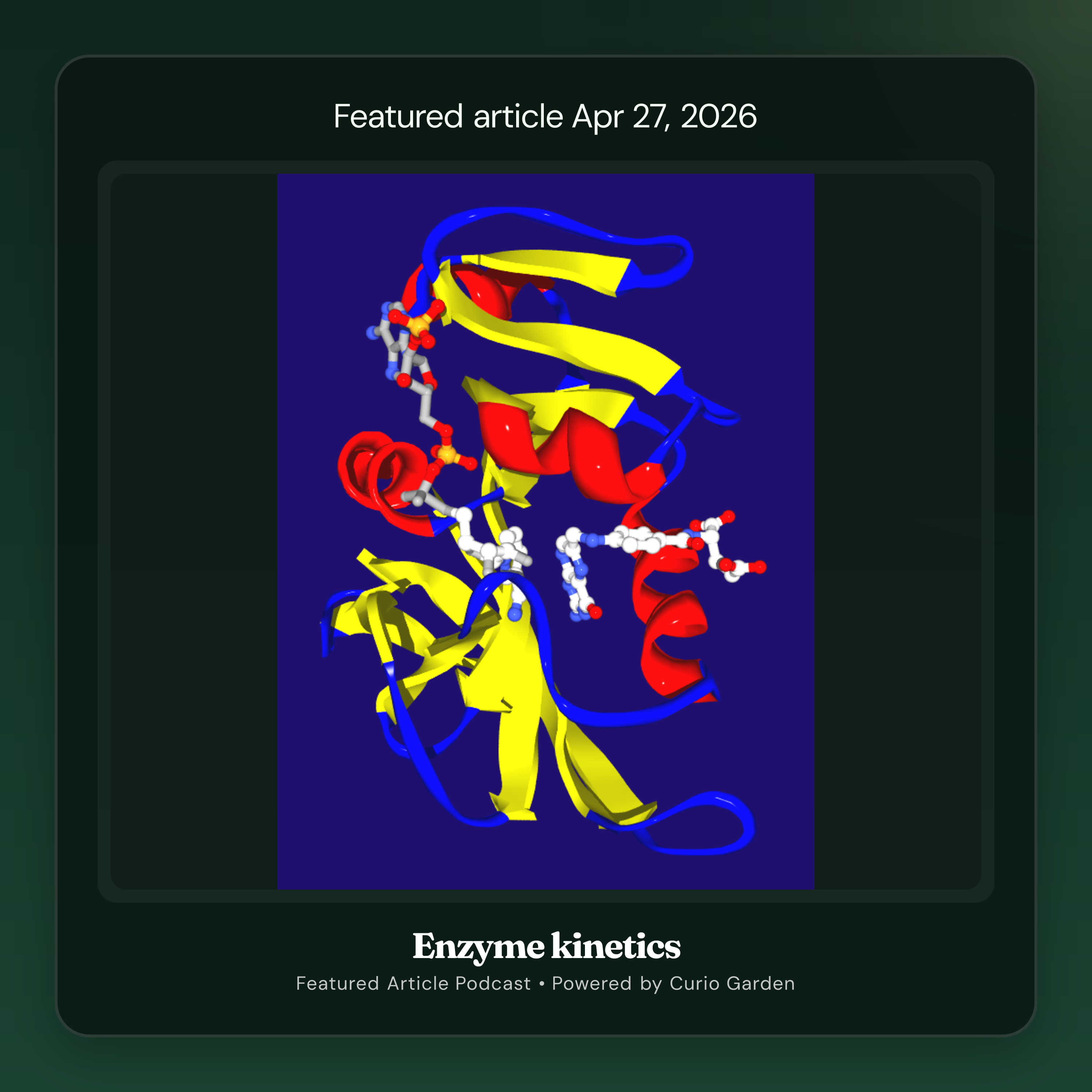 Artwork for Enzyme kinetics